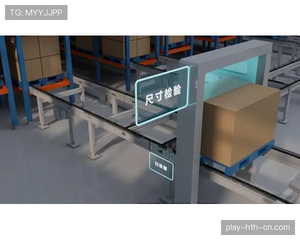 福登的半空间组织与终结能力：机制、效率与角色限制分析